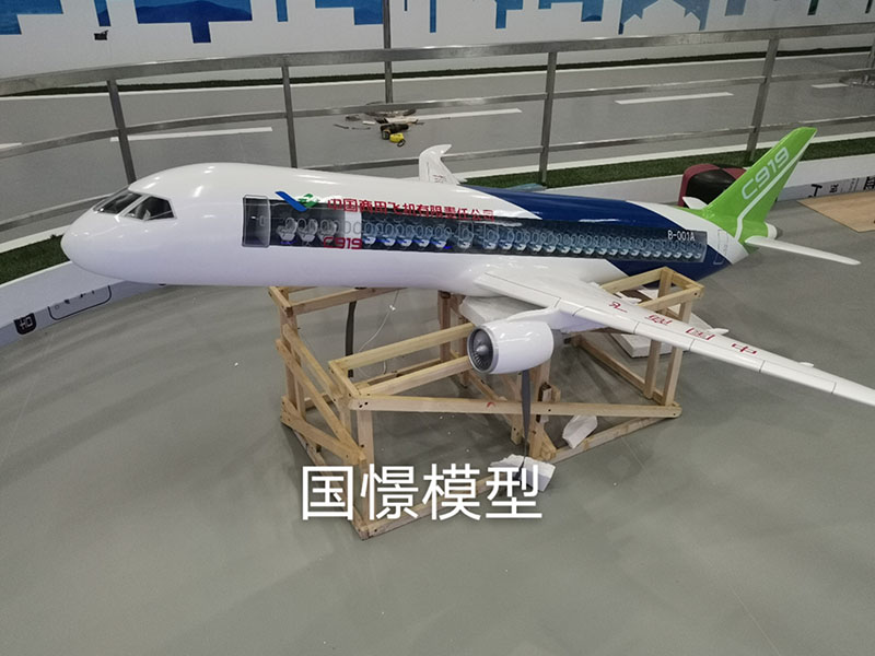 瑞安县飞机模型