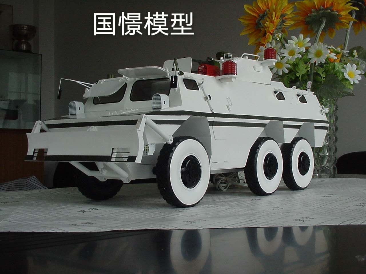瑞安县军事模型